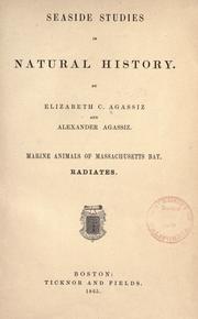 Seaside Studies in Natural History by Elizabeth Cabot Cary Agassiz