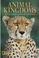 Cover of: Animal kingdoms