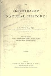 Cover of: The illustrated natural history by John George Wood