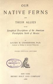 Cover of: Our native ferns and their allies by Lucien Marcus Underwood