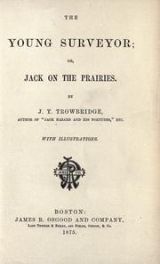 Cover of: The young surveyor: or, Jack on the prairies