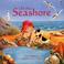 Cover of: On the Seashore