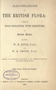 Cover of: Illustrations of the British flora: a series of wood engravings, with dissections, of British plants