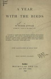 Cover of: A year with the birds