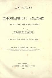 Cover of: An atlas of topographical anatomy by Braune, Wilhelm