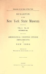Cover of: Aboriginal chipped stone implements of New York