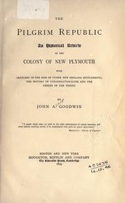 Cover of: The Pilgrim republic by John Abbot Goodwin