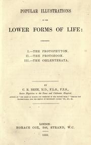 Cover of: Popular illustrations of the lower forms of life