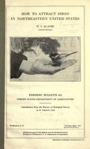 Cover of: How to attract birds in northeastern United States