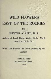 Cover of: Wild flowers east of the Rockies. by 