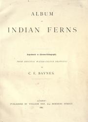 Cover of: Album of Indian ferns: reproduced in chromo-lithography from original water-colour drawings