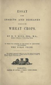 Essay on the insects and diseases injurious to the wheat crops by Hind, Henry Youle