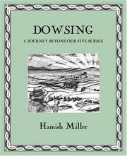 Cover of: Dowsing: a journey beyond our five senses