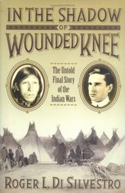 Cover of: In the shadow of Wounded Knee: the untold story of the Indian Wars