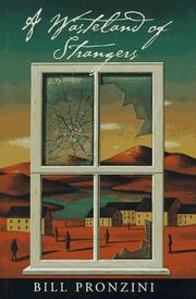 Cover of: A wasteland of strangers by Bill Pronzini
