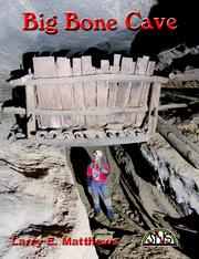 Cover of: Big Bone Cave