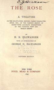 Cover of: The rose by Ellwanger, H. B.
