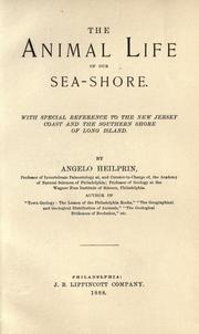 Cover of: The animal life of our seashore by Angelo Heilprin