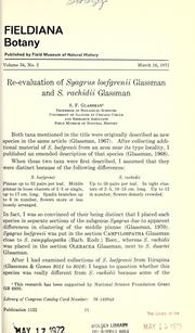 Cover of: Re-evaluation of Syagrus loefgrenii Glassman and S. rachidii Glassman.