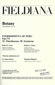 Cover of: Pteridophyta of Peru. by Rolla M. Tryon, Robert G. Stolze ; with the collaboration of: R. James Hickey, Benjamin Øllgaard.