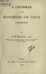 Cover of: grammar of the Bohemian or Cech language