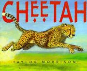Cheetah by Taylor Morrison