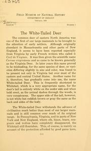Cover of: The white-tailed deer