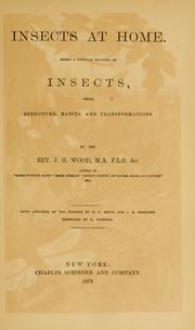 Cover of: Insects at home by John George Wood