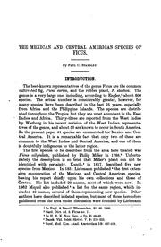 Cover of: The Mexican and Central American species of Ficus.