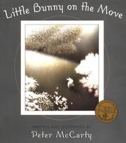 Cover of: Little Bunny on the Move (An Owlet Book)