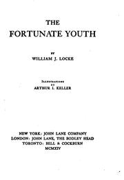 Cover of: The fortunate youth