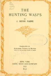 Cover of: Hunting Wasp