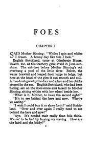 Cover of: Foes: a novel
