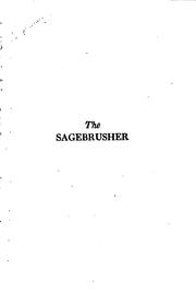 Cover of: The sagebrusher: a story of the West