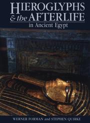 Cover of: Hieroglyphs and the afterlife in ancient Egypt