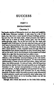 Cover of: Success: a novel