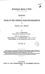 Cover of: Report of tours in the central Doab an Gorakhpur in 1874-75 and 1875-76. by A. C. L. Carlleyle