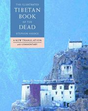 Cover of: The illustrated Tibetan book of the dead by Stephen Hodge