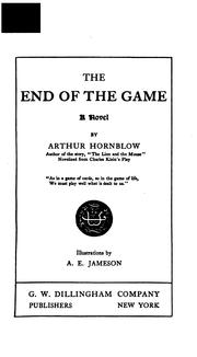 Cover of: end of the game: a novel