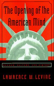 Cover of: The opening of the American mind: canons, culture, and history