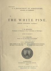 Cover of: The white pine (Pinus strobus Linnaeus)