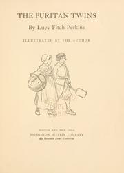 Cover of: The Puritan twins