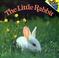 Cover of: The Little Rabbit