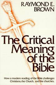 Cover of: The critical meaning of the Bible: how a modern reading of the Bible challenges Christians, the Church, and the churches