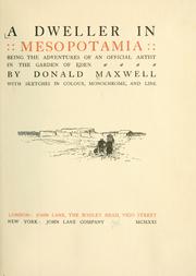 Cover of: dweller in Mesopotamia: being the adventures of an official artist in the garden of Eden