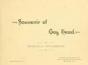 Cover of: Souvenir of Gay Head by 