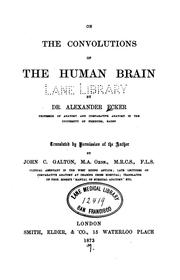Cover of: convolutions of the human brain