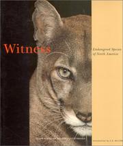 Cover of: Witness: endangered species of North America