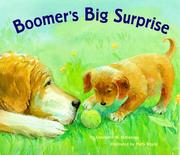 Cover of: Boomer's big surprise