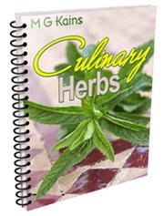 Cover of: Culinary herbs by Maurice Grenville Kains